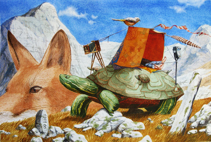 turtlemountain